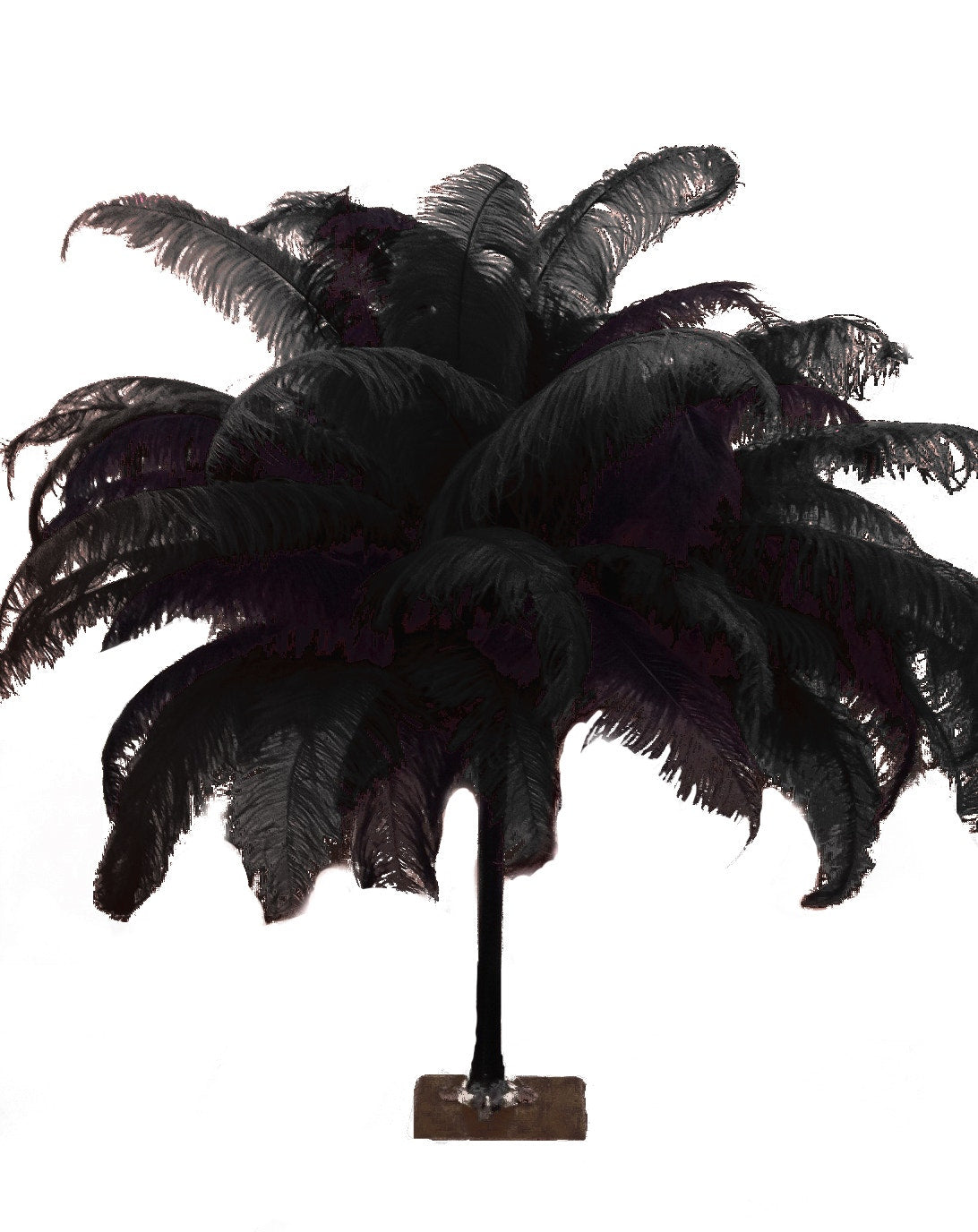 18-24 inch (46-61 cm) 1/4 lb Natural Black Feather Wedding Centerpiece Decor - Spads
